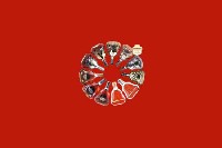 友谊回收红酒